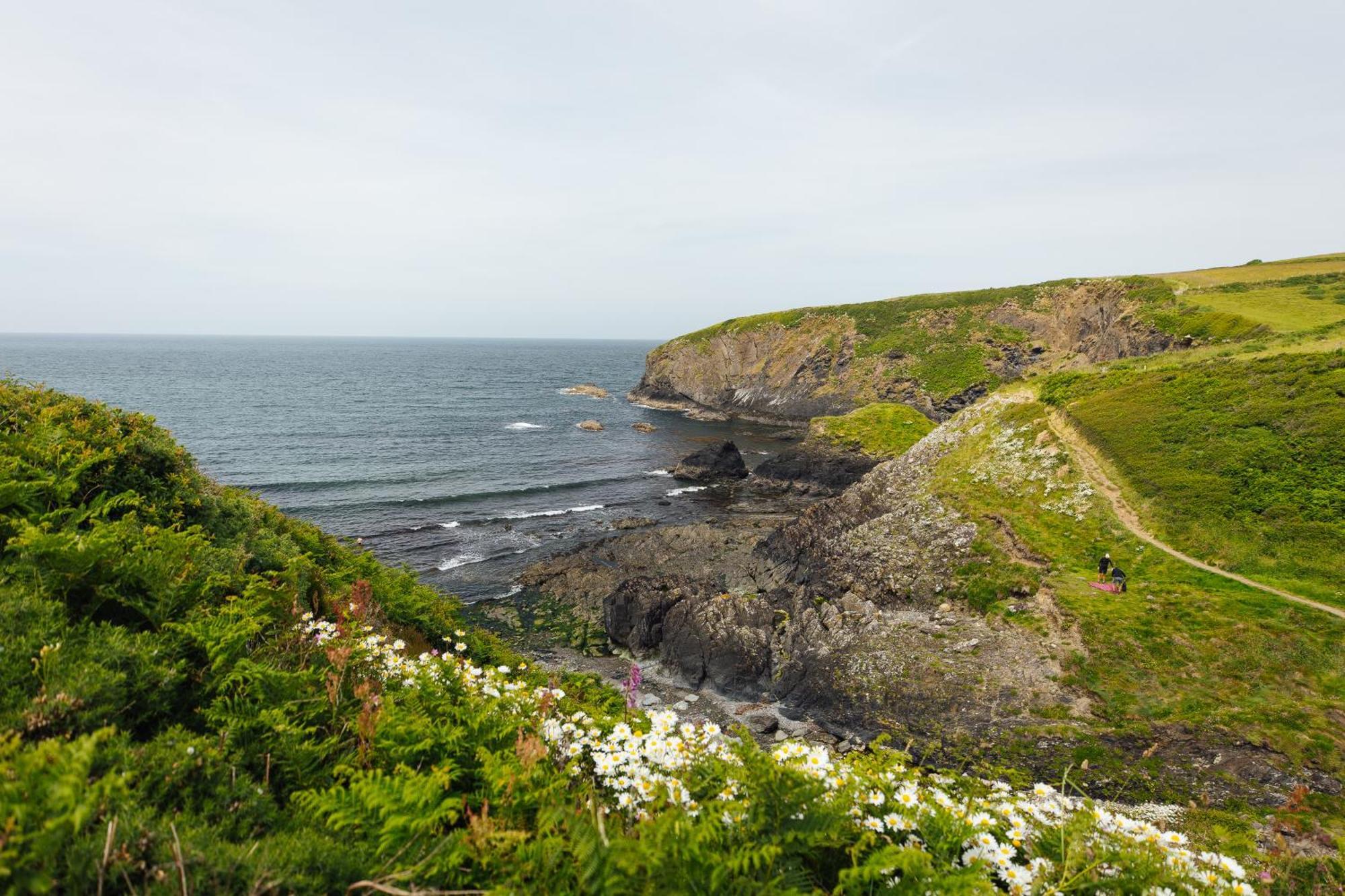 Cliff-Top Cottage On Coast Path W/Panoramic Views Trevine Exterior foto